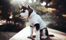 开云平台-曼城末节风暴席卷威尔士，奥纳纳一锤定音化身关键先生