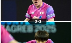 开云体育在线-比利时乒乓球队横扫德国乒乓球队，张本智和送出助攻的简单介绍