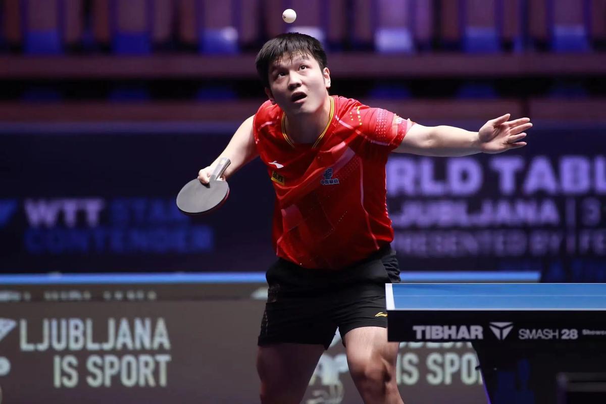 关于乒乓球选手技惊四座，巴西队成功逆袭的信息