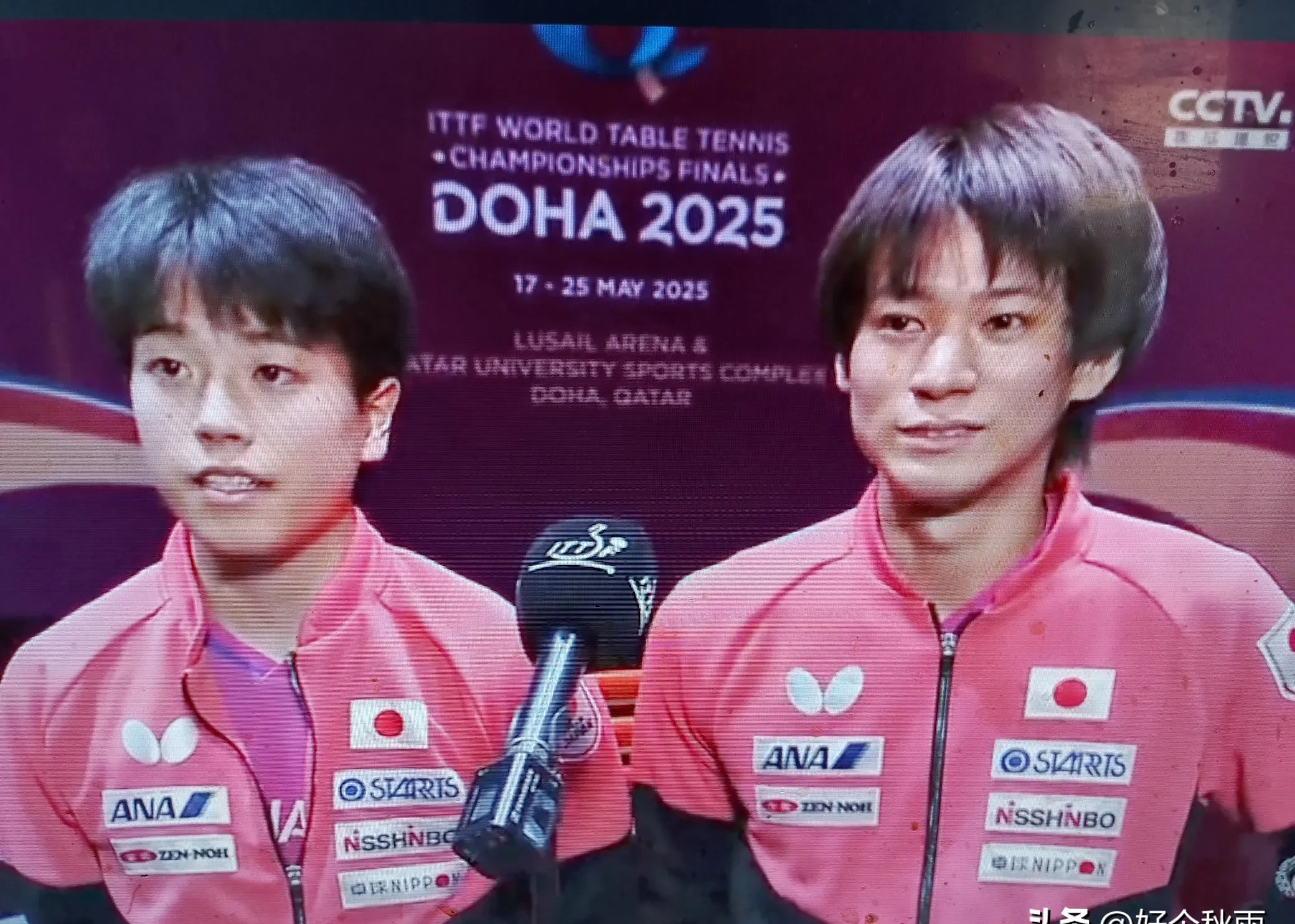 日本乒乓球队轻取波兰乒乓球队，张继科送出助攻的简单介绍