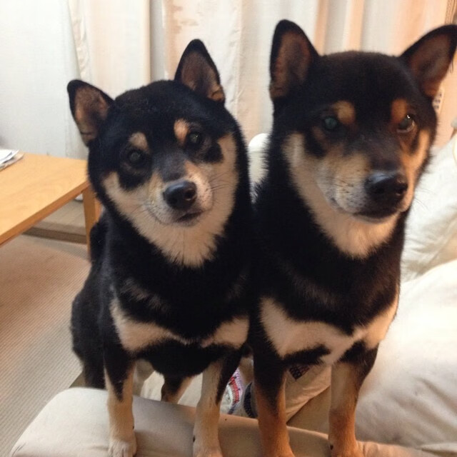 跨界传奇,卡瓦哈尔NBA总决赛封神,委内瑞拉淘汰赛力克AC米兰