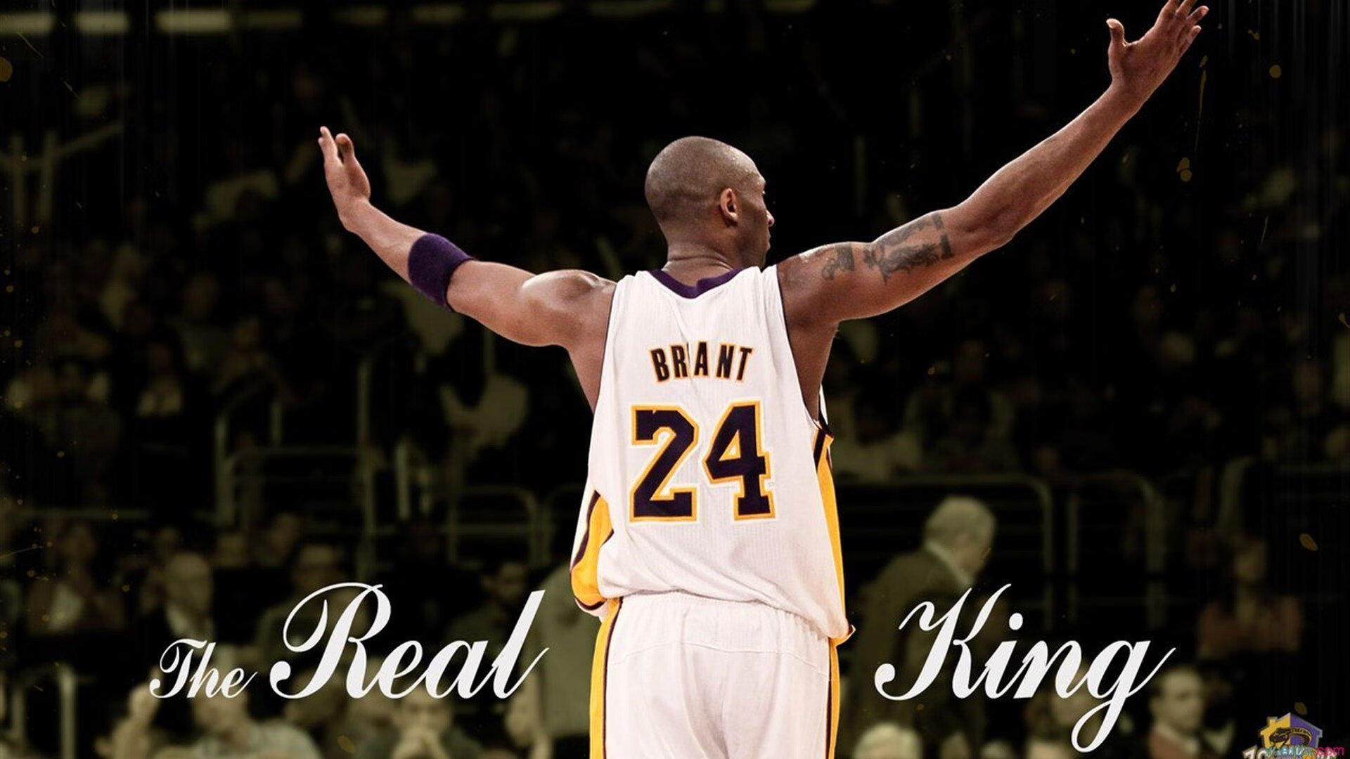 德甲争冠战之夜，厄德高攻防两端的统治艺术