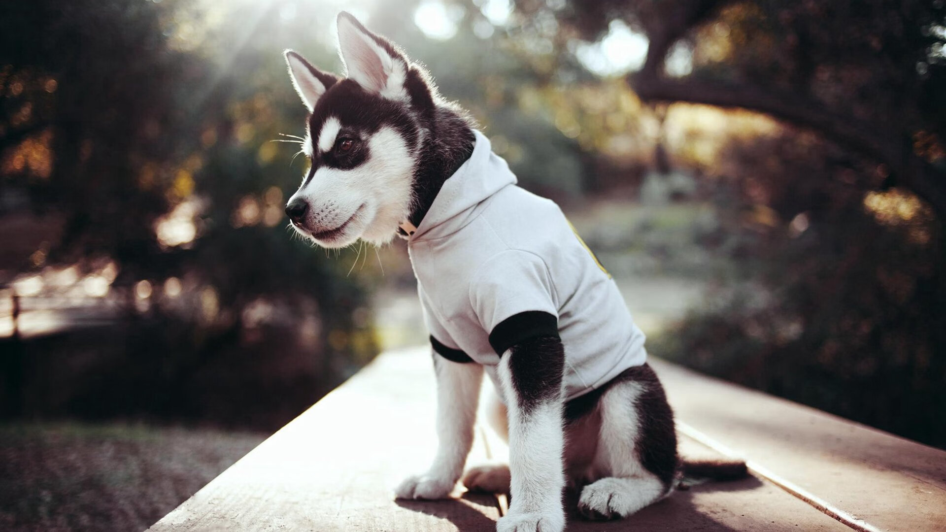 曼城末节风暴席卷威尔士,奥纳纳一锤定音化身关键先生